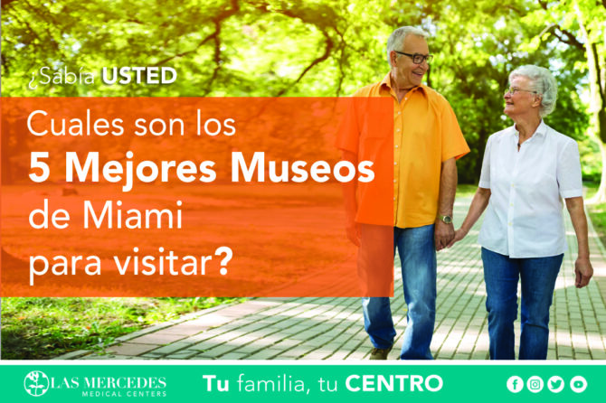 Los 5 Mejores Museos De Miami
