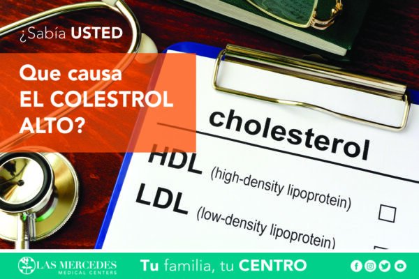 ¿Qué Causa El Colesterol Alto?