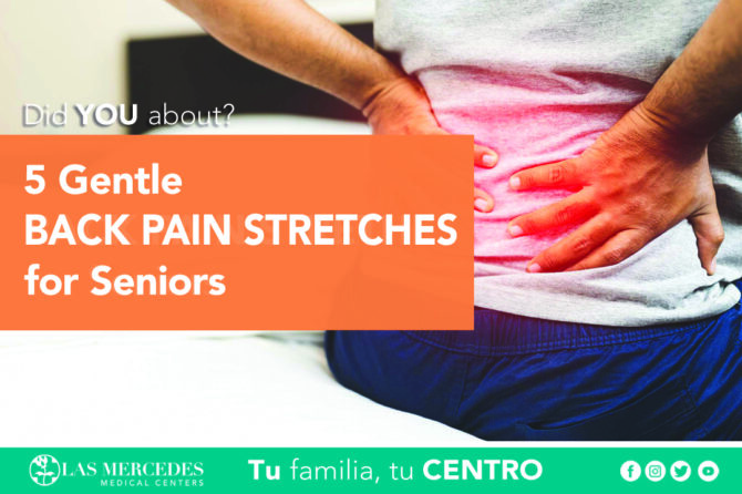 5 Gentle Back Pain Stretches For Seniors